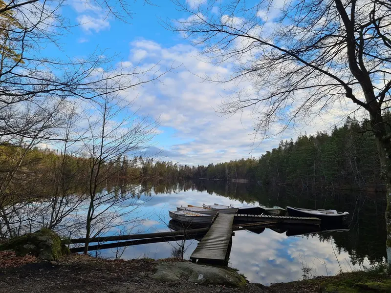 Roddbåtar vid en brygga i en stilla sjö