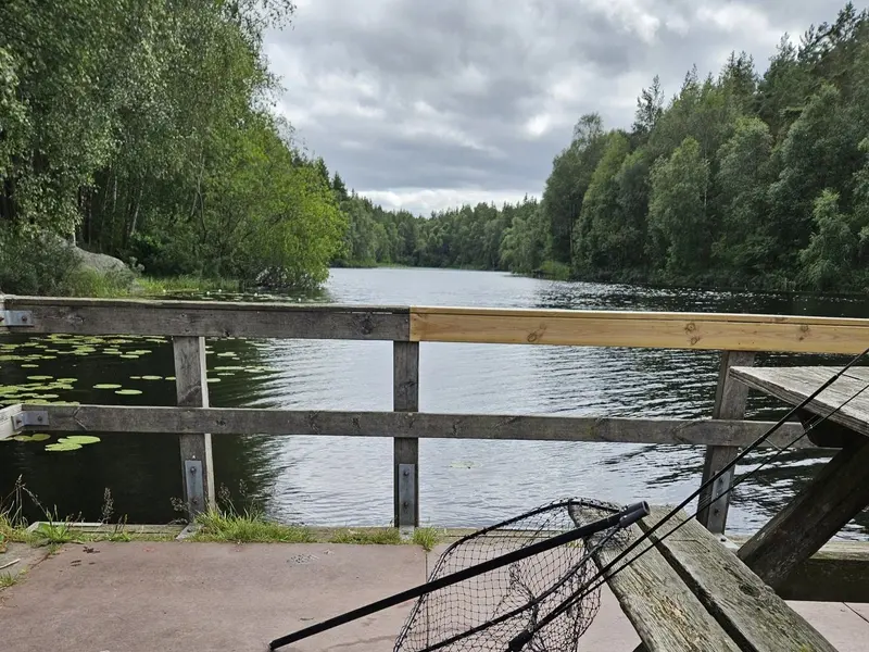Bänkbord och håv på en brygga vid sjön