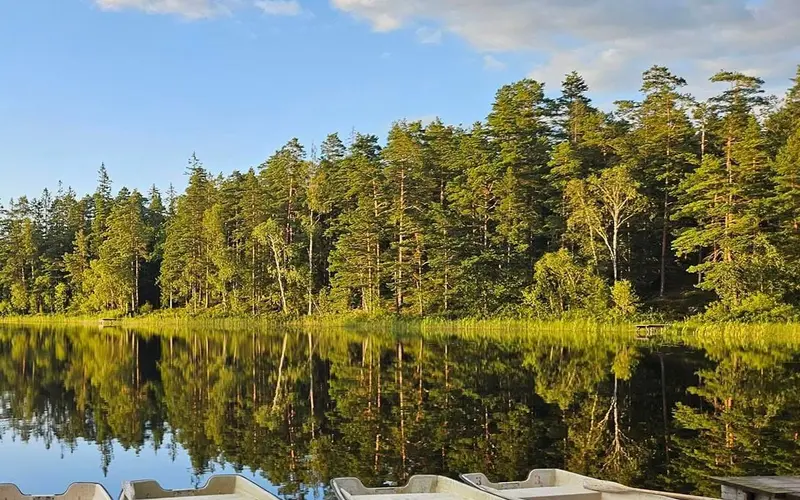 Roddbåtar vid en brygga, sjön speglar granskogen i kvällssol